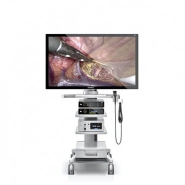 Sistema de câmera endoscópica HD3 em CAMPO GRANDE