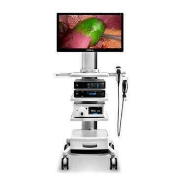 Sistema de câmera endoscópica HyPixel™ R1 em CAMPO GRANDE